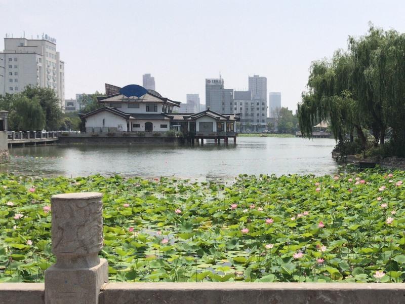 greentree inn jiangsu xuzhou peixian bus station t