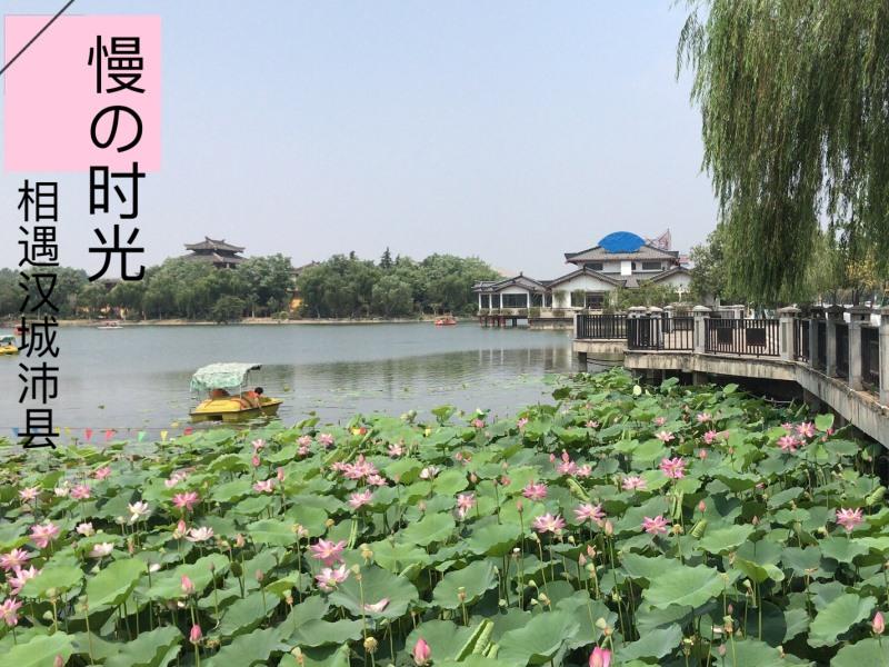 greentree inn jiangsu xuzhou peixian bus station t