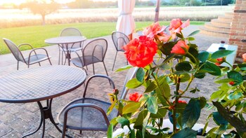 assisium agriturismo