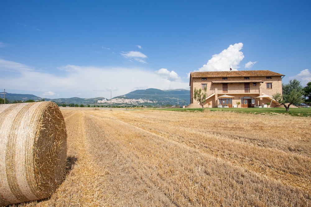 assisium agriturismo