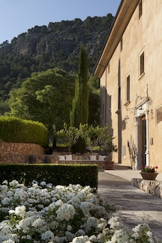 pollenca