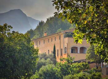 pollenca