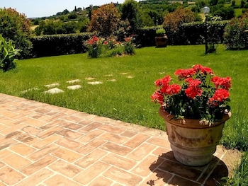 marciano della chiana