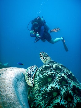 puri sayang bungalows