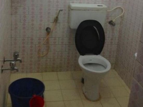 jickys nest