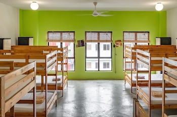 pods the backpackers home and cafe