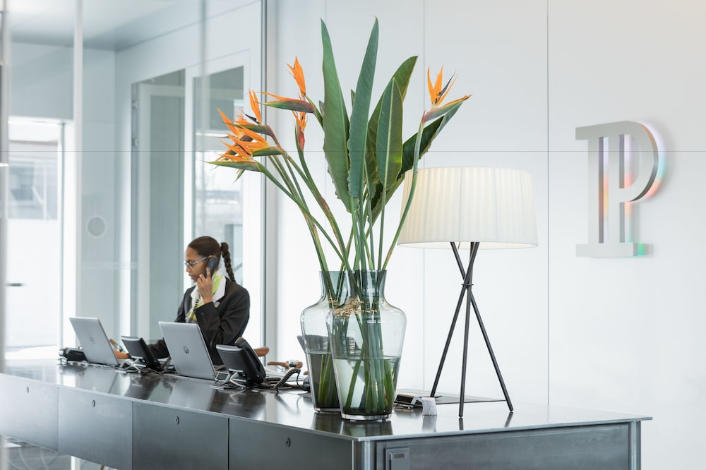 placid hotel design and lifestyle zurich