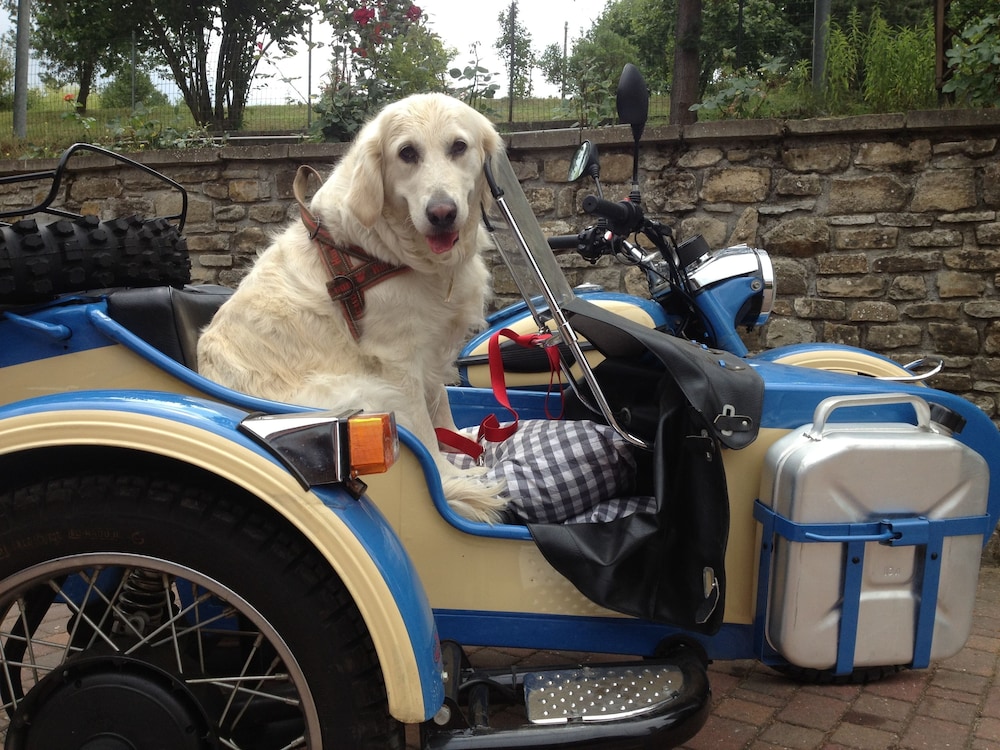 agriturismo azienda agricola bortolotti