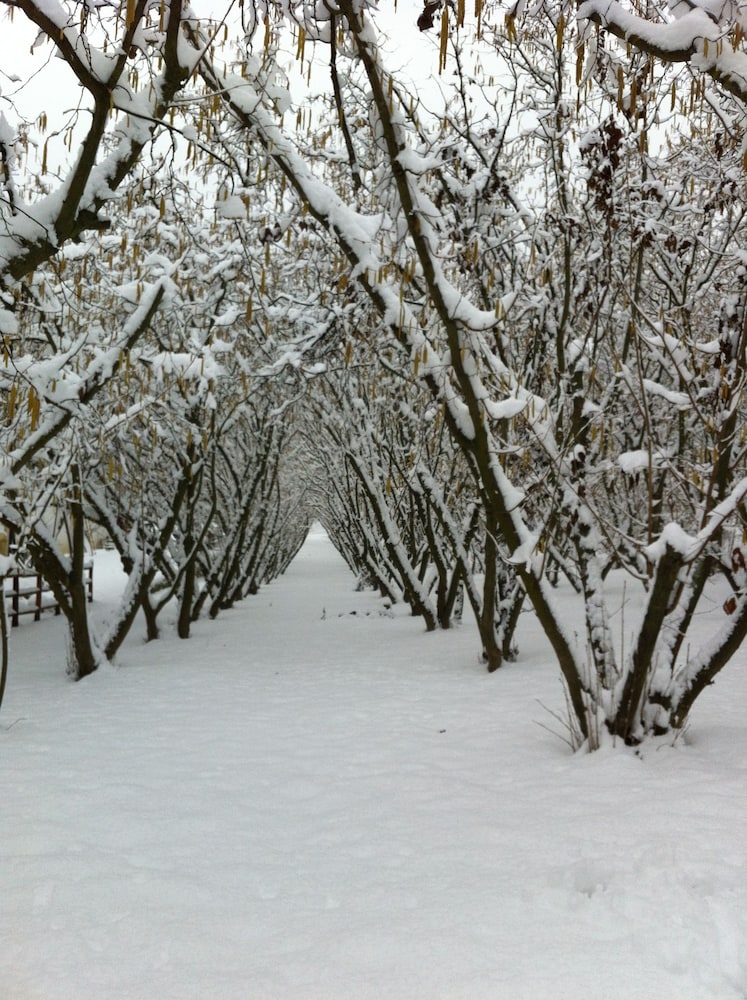 agriturismo azienda agricola bortolotti