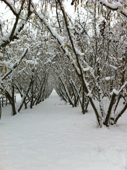 agriturismo azienda agricola bortolotti