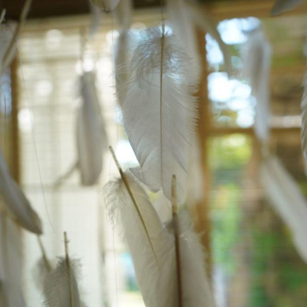 thulamela bed and breakfast