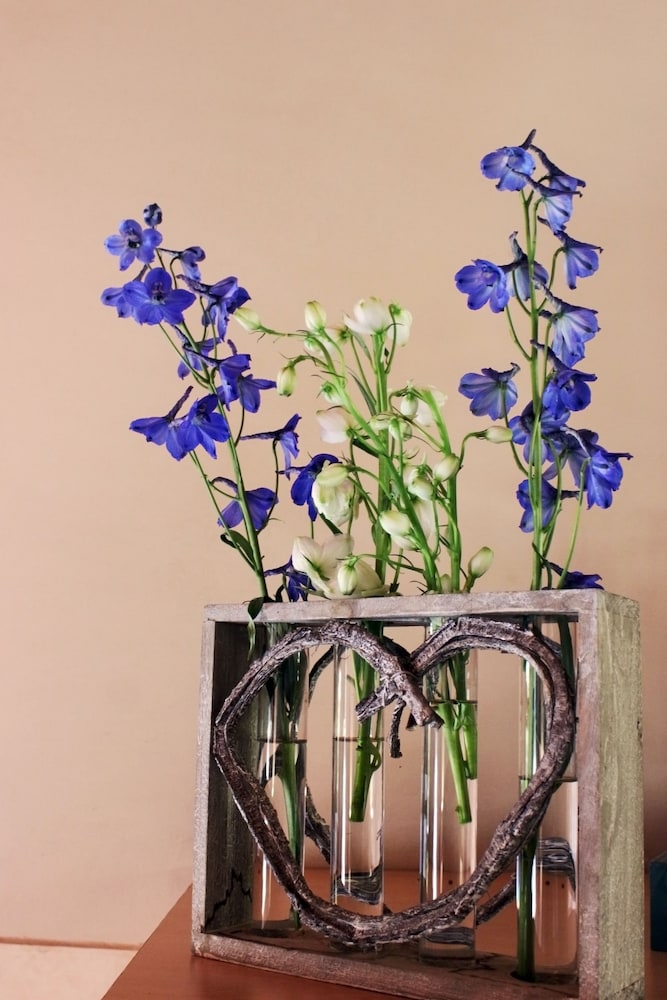 thulamela bed and breakfast