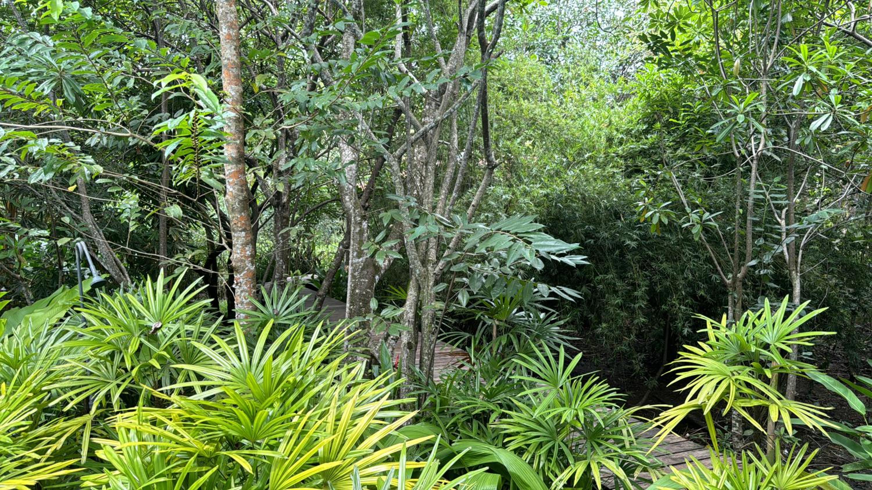 ginganga lodge