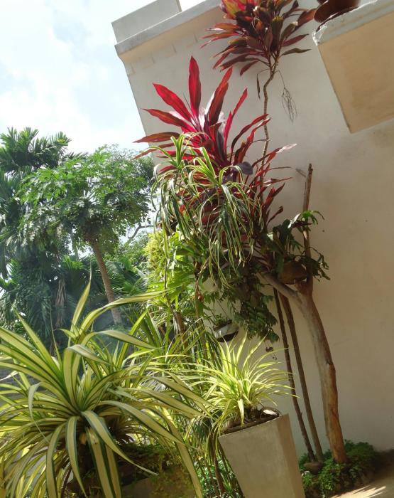 goalma family holiday resort and restaurant