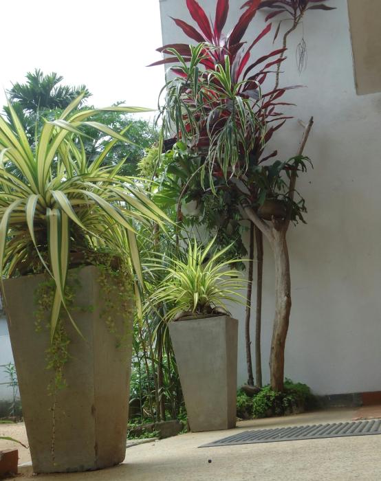 goalma family holiday resort and restaurant