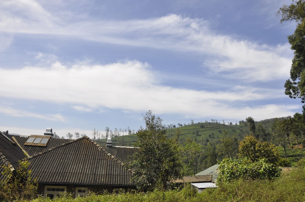 walapane