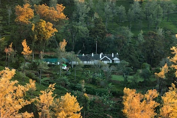 scottish planter glendevon bungalow