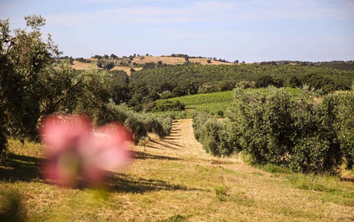 agriturismo bio il quarto