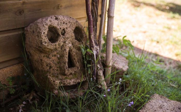 agriturismo bio il quarto