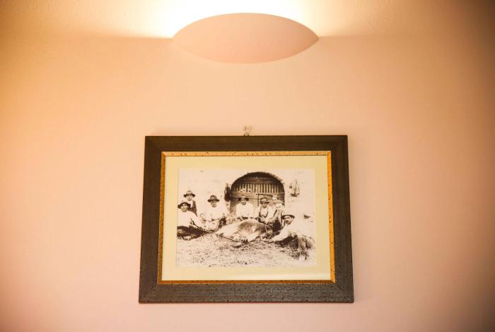 agriturismo bio il quarto