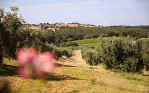 agriturismo bio il quarto