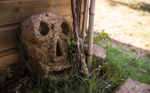 agriturismo bio il quarto