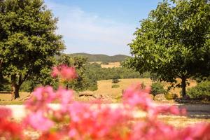 agriturismo bio il quarto