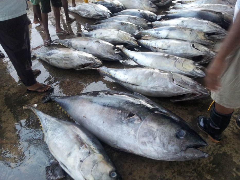 patrick holiday resort