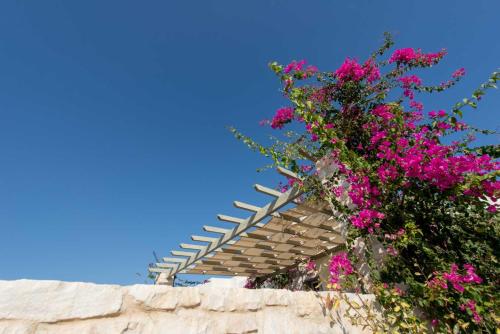 paros