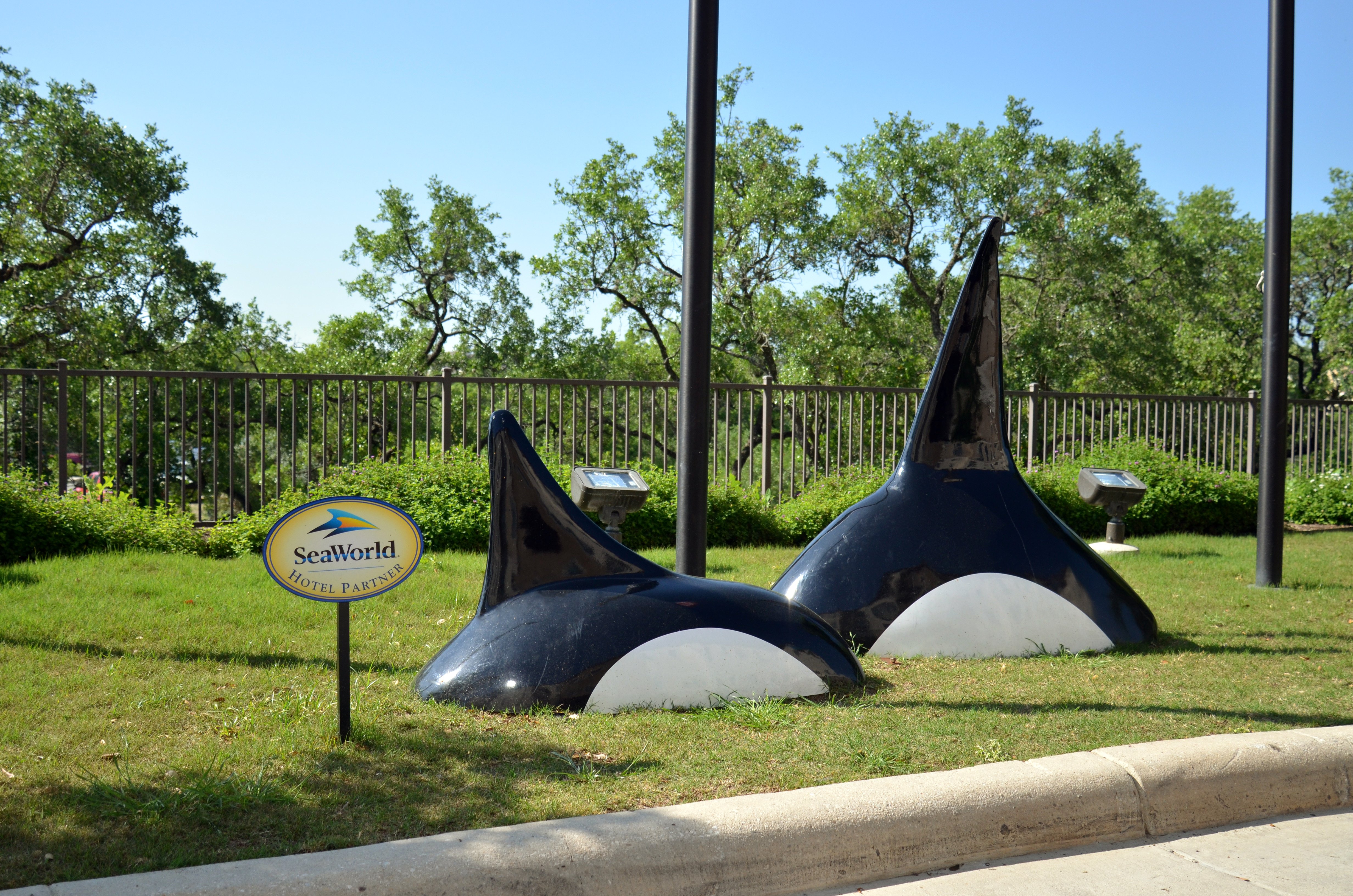 staybridge suites san antonio sea world by ihg