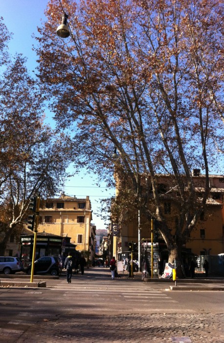 residenza delle arti