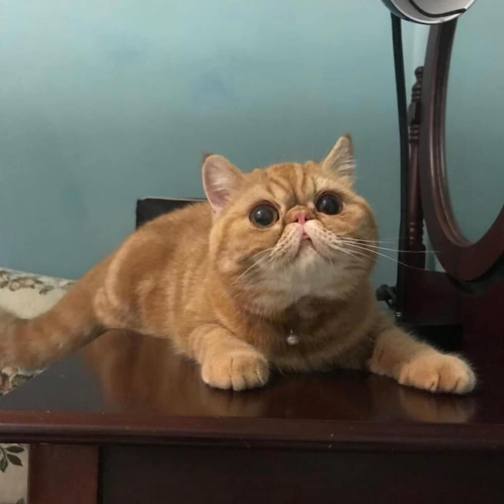 hope sea bed and breakfast