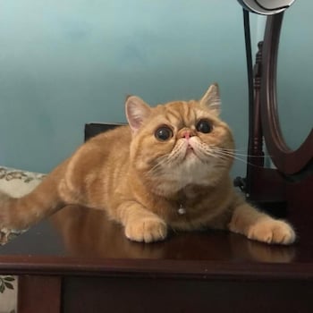 hope sea bed and breakfast