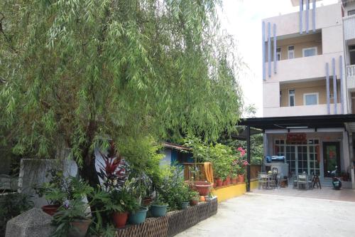 hagi house bed and breakfast