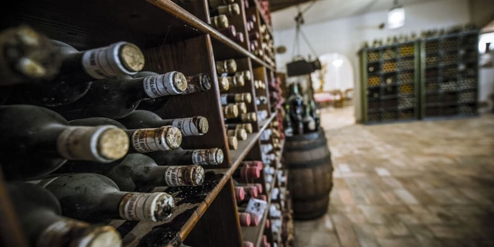 su gologone experience hotel