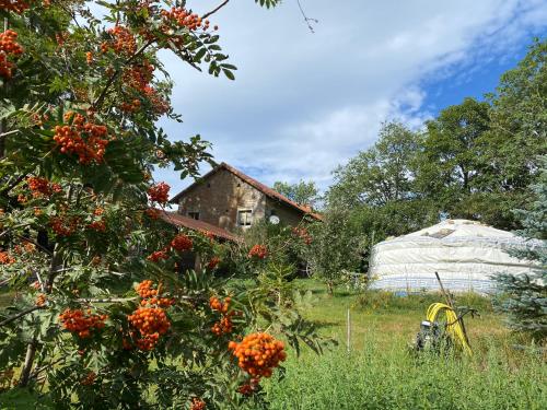 eco yourte les airelles