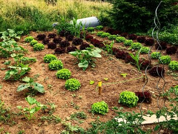 eco yourte les airelles