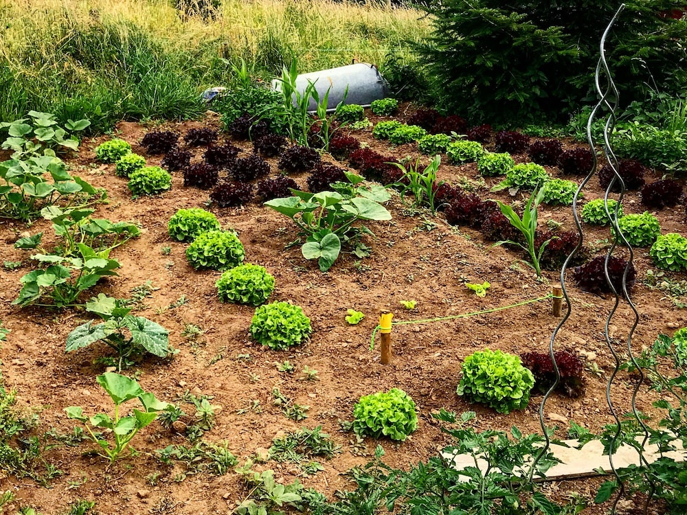 eco yourte les airelles