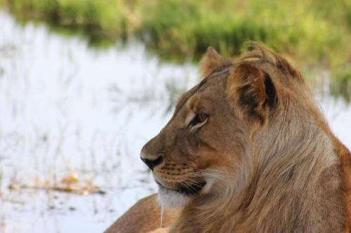 gwango heritage resort