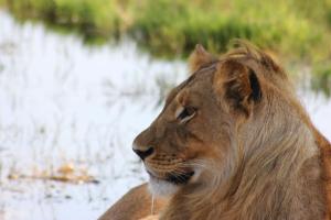 gwango heritage resort