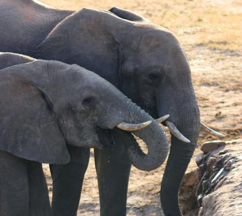 gwango heritage resort