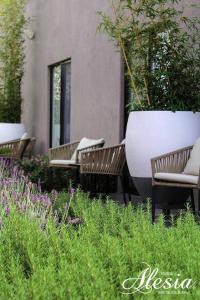 alesia hotel boutique and spa