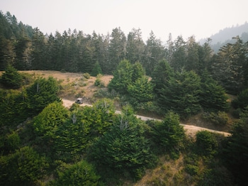 fort bragg