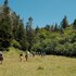 fort bragg