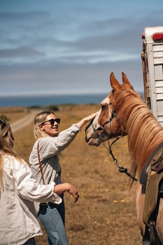 the inn at newport ranch