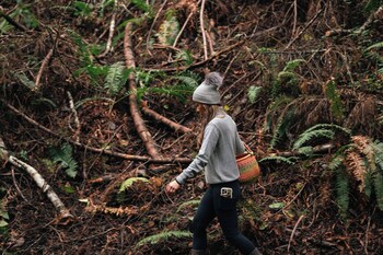 the inn at newport ranch