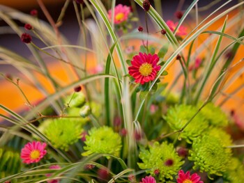 yufu