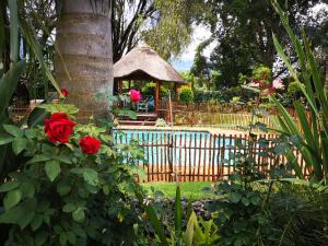 Dublin Guest Lodge,Near Komatiland Forestry Museum,3 star