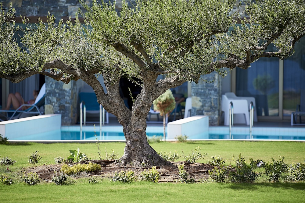 kakkos beach hotel adults only