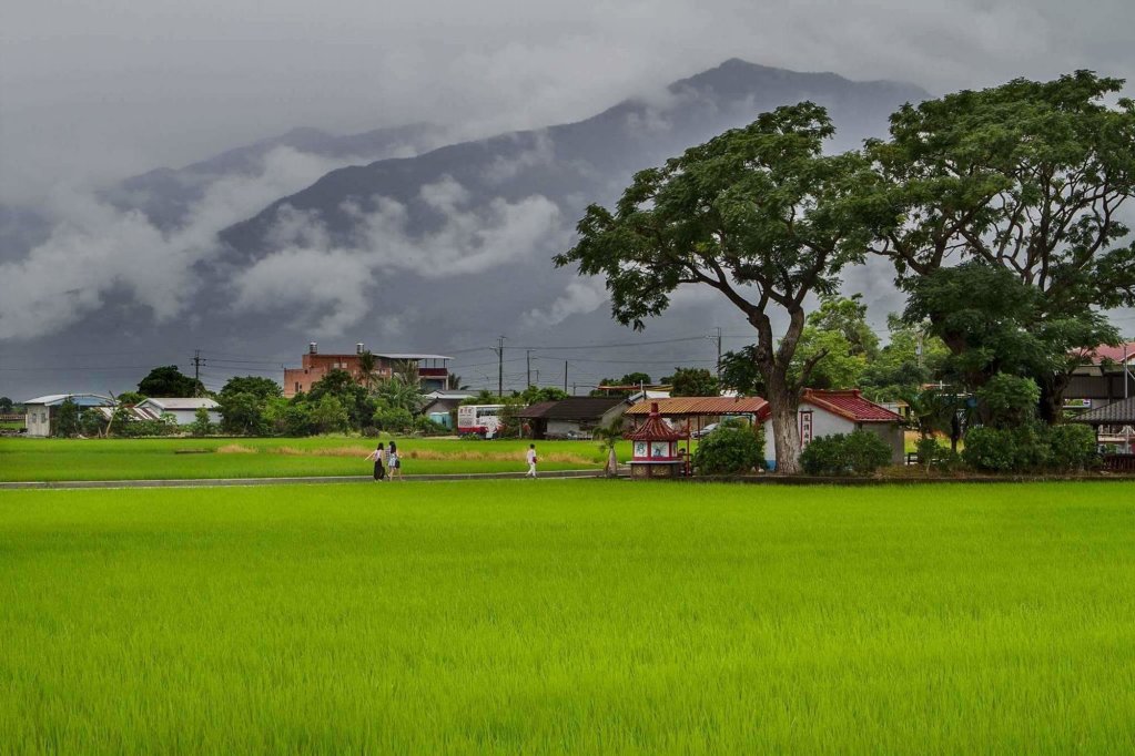 Strawberry Milk B&B,Taitung>>Taimali,3 star